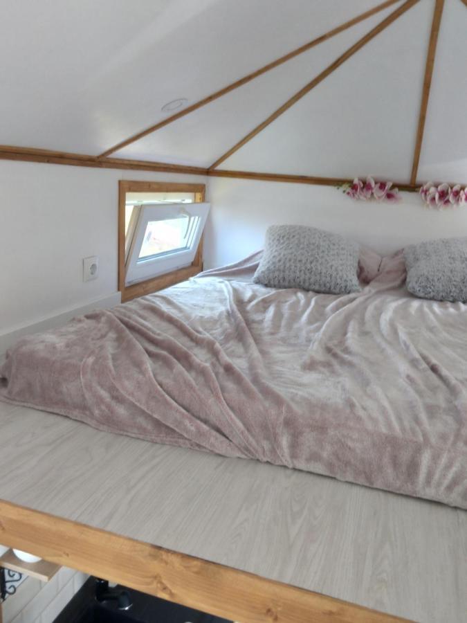 Sinnicoara Tiny House Cluj With Jacuzziヴィラ エクステリア 写真