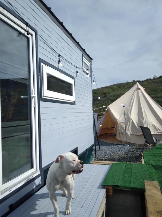 Sinnicoara Tiny House Cluj With Jacuzziヴィラ エクステリア 写真